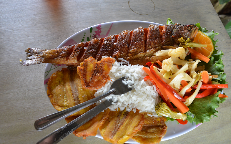 Almuerzo parque internacional