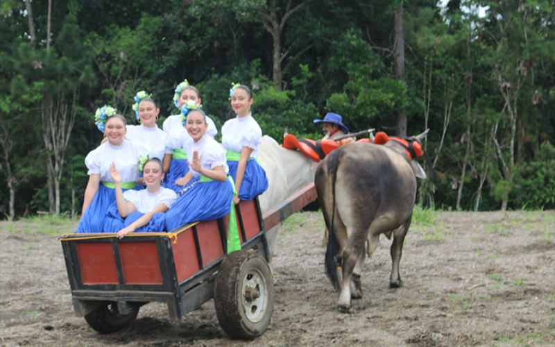Mujeres en una carreta