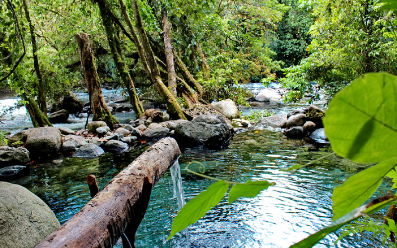 Poza del parque internacional la amistad