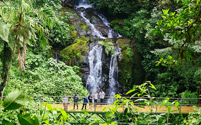 Cascada parque internacional la amistad